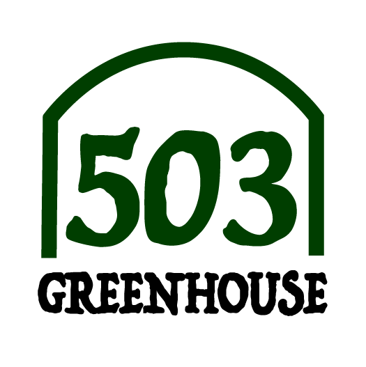 website design in pnw